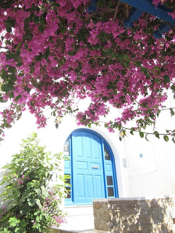 Angelina Studios Páros Exteriér fotografie